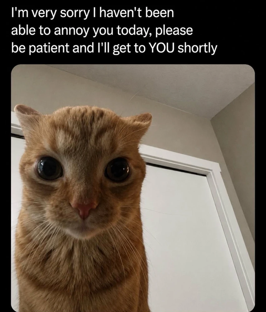 GIF uploaded by Luna