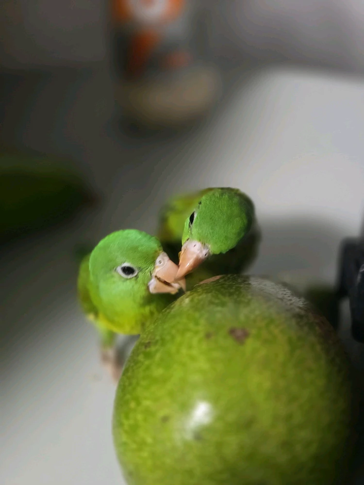 Image uploaded by Wini