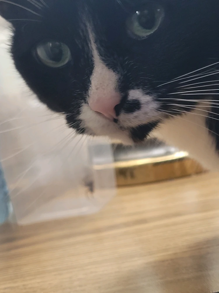 GIF uploaded by Luna