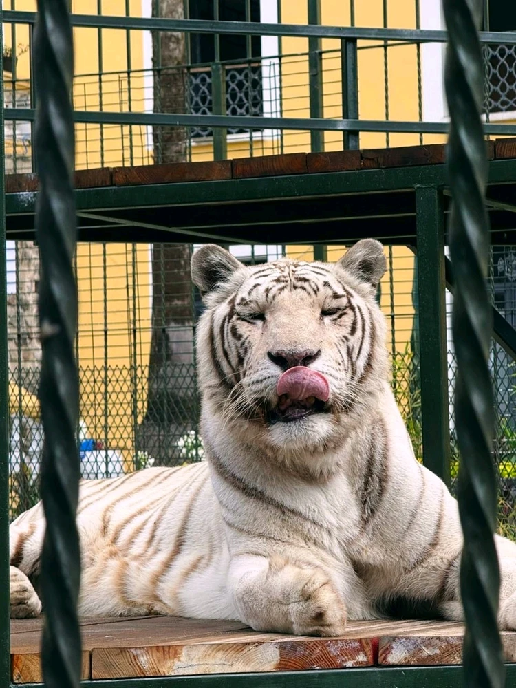 GIF uploaded by Montserrat