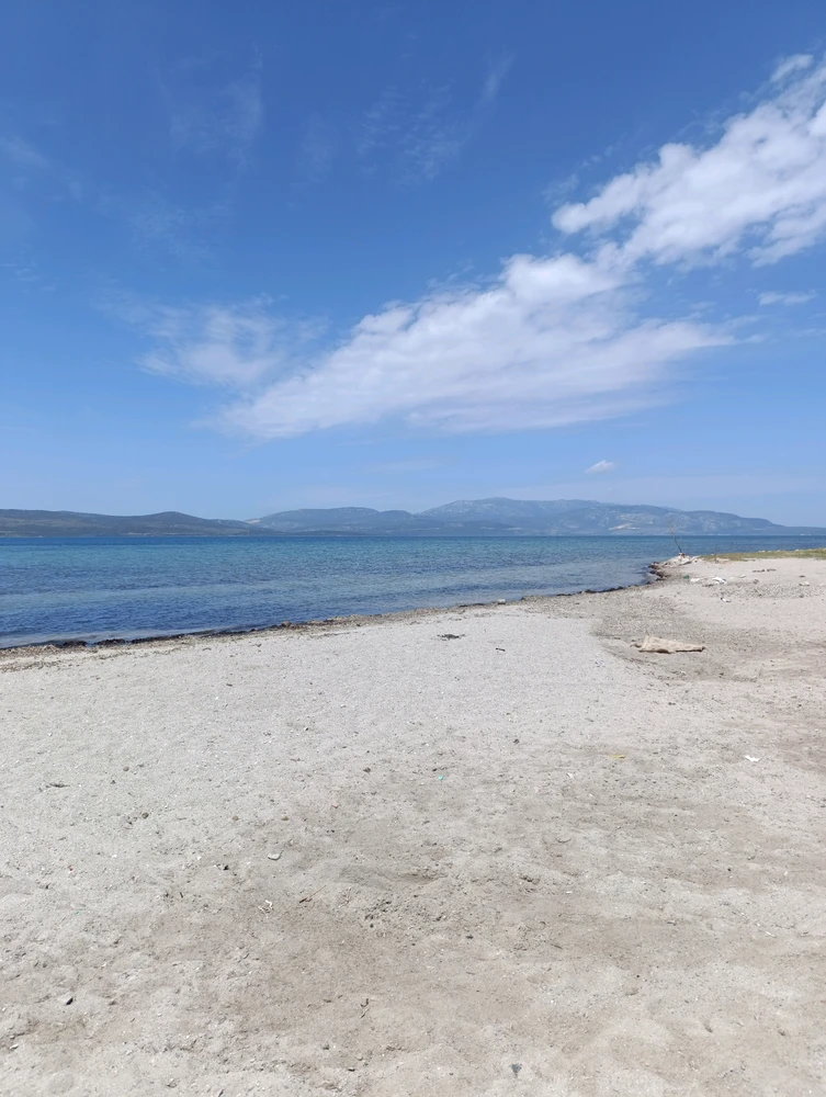 Image uploaded by Arda