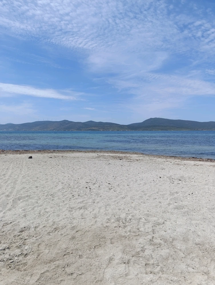 Image uploaded by Arda