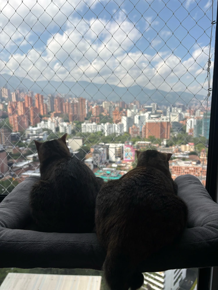 GIF uploaded by Lief