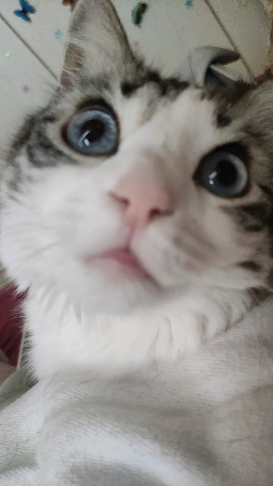 GIF uploaded by Nathalie