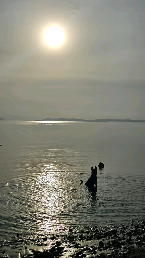Image uploaded by Thres