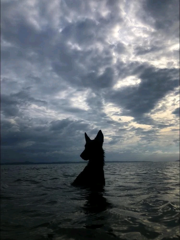 Image uploaded by Thres