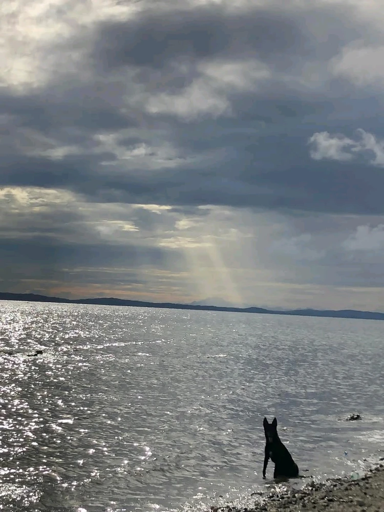Image uploaded by Thres