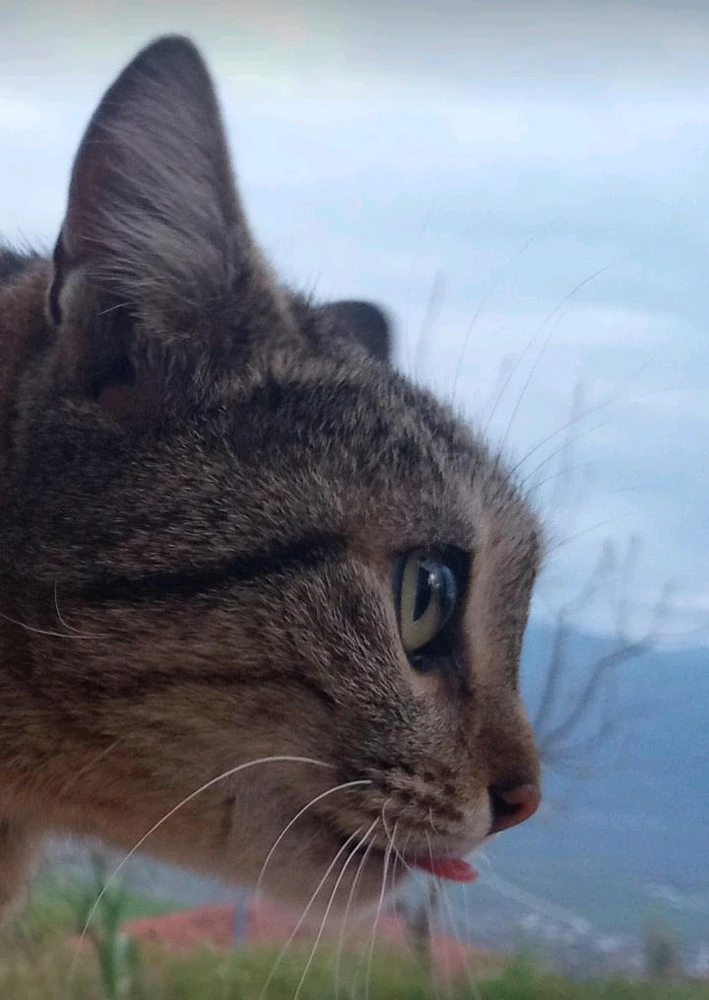 Haso tarafından yüklenen GIF