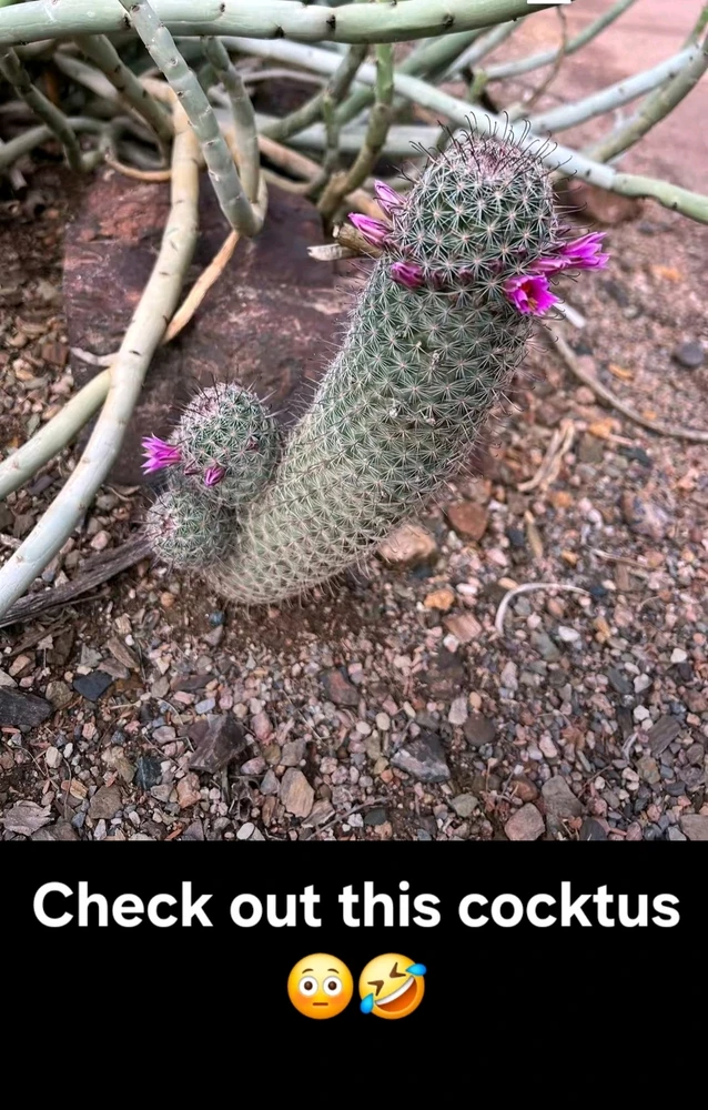 GIF uploaded by Caleb