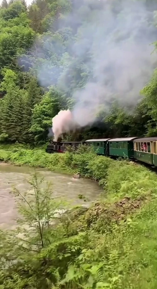 GIF uploaded by Cătălin