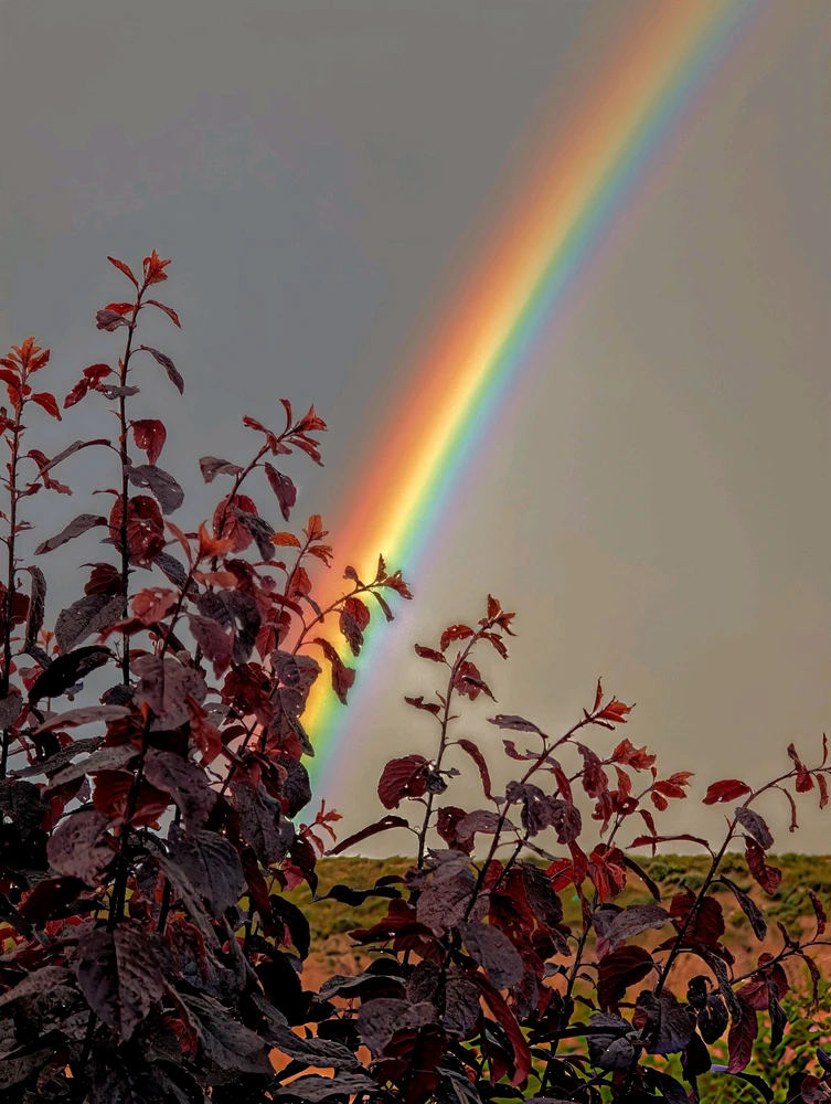 GIF uploaded by Manuel Almeciga