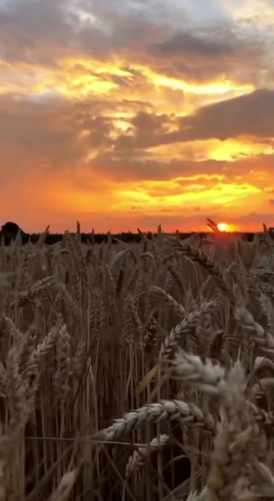 GIF uploaded by Cătălin