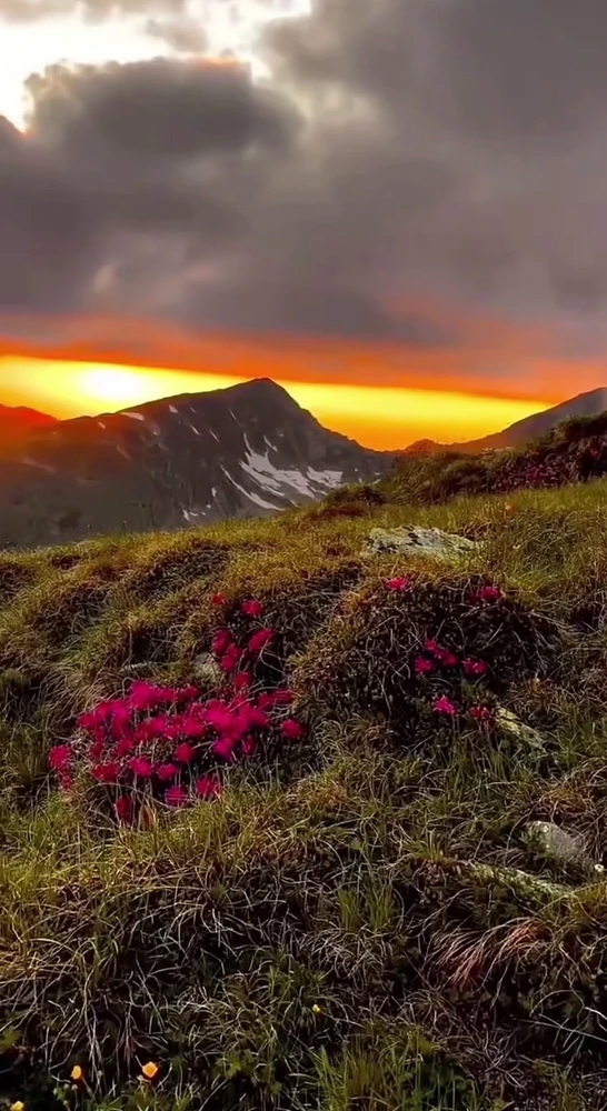 GIF uploaded by Cătălin