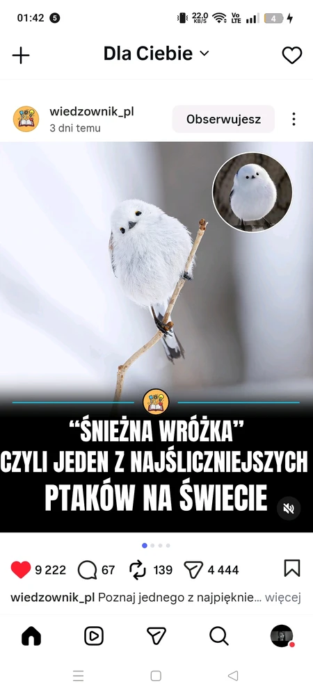 Zdjęcie dodane przez MishaKa