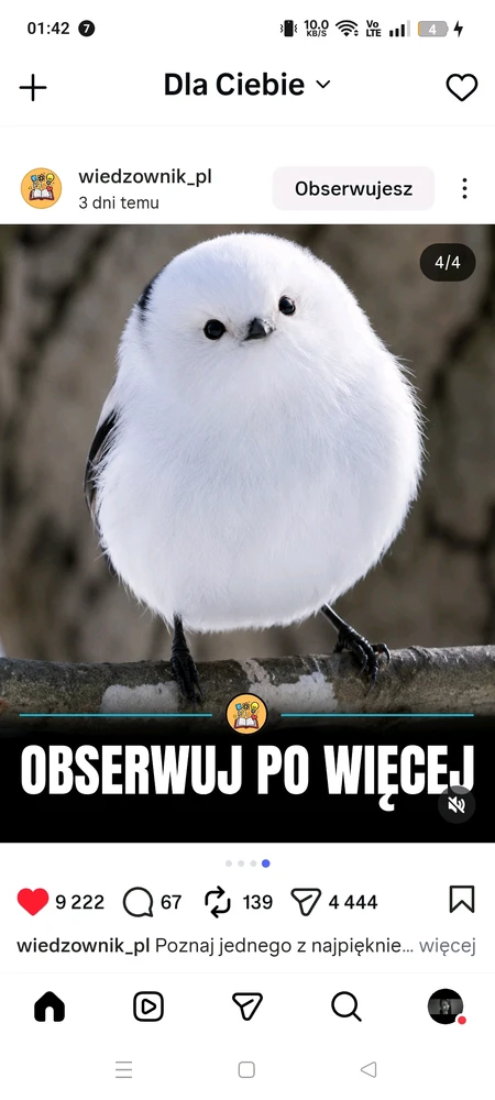 Zdjęcie dodane przez MishaKa