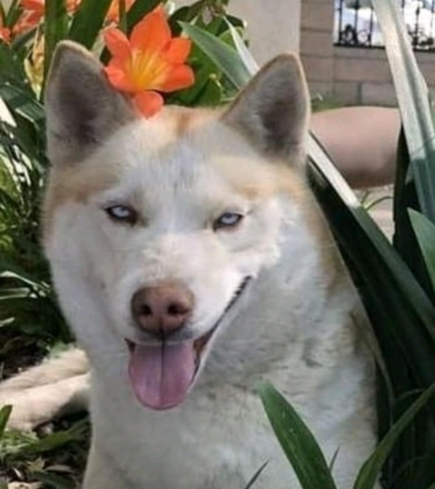 GIF uploaded by Leila