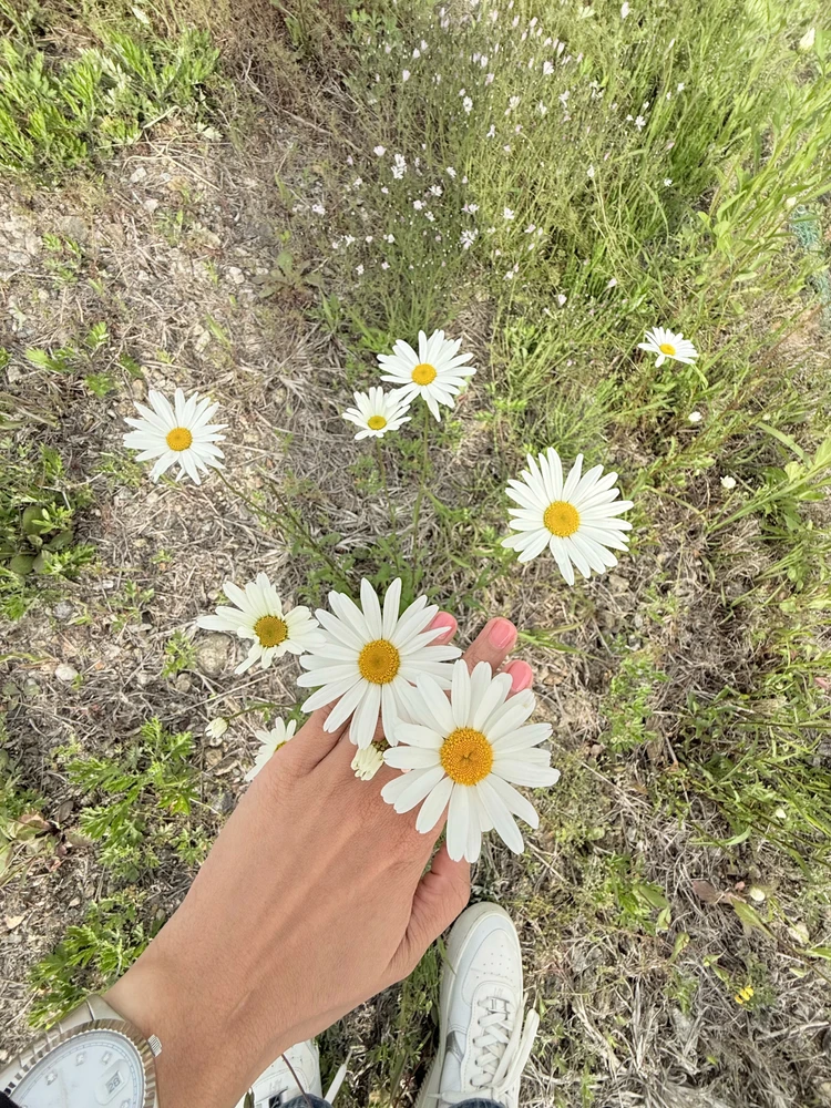 GIF uploaded by cy