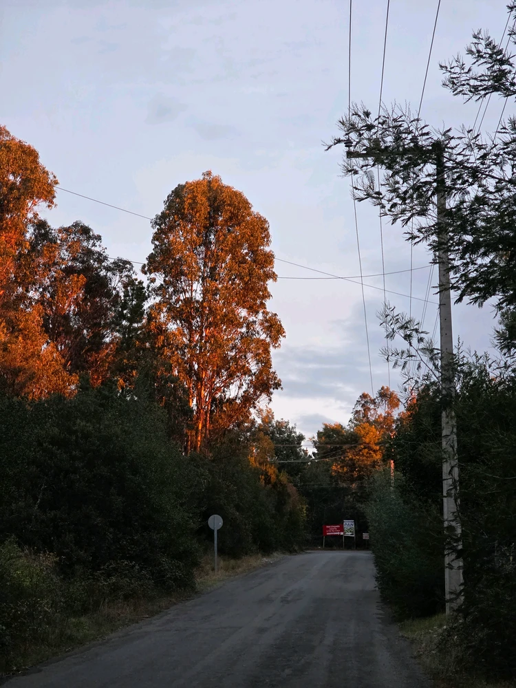 GIF uploaded by Ivan