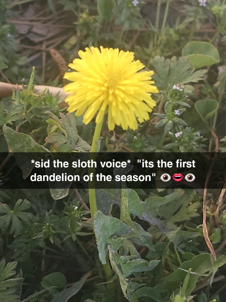 Image uploaded by Jordan