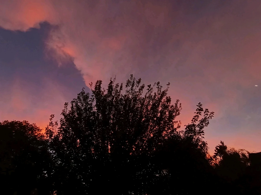 GIF uploaded by Varg