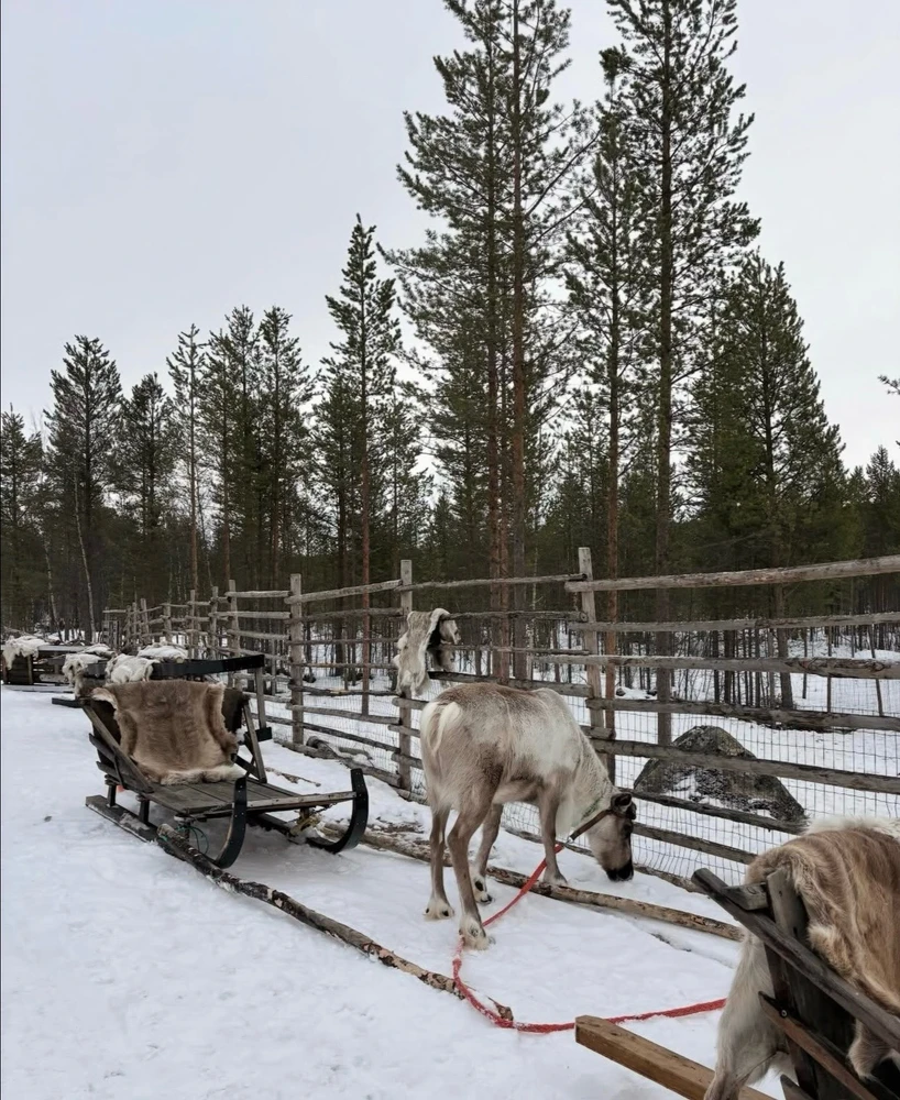 Image uploaded by Utet