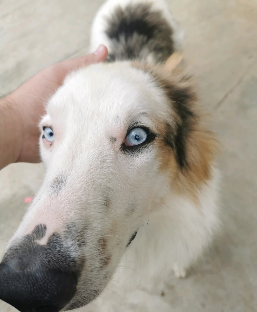 GIF uploaded by Max