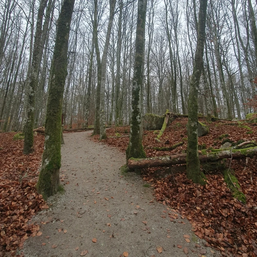 GIF uploaded by Malin