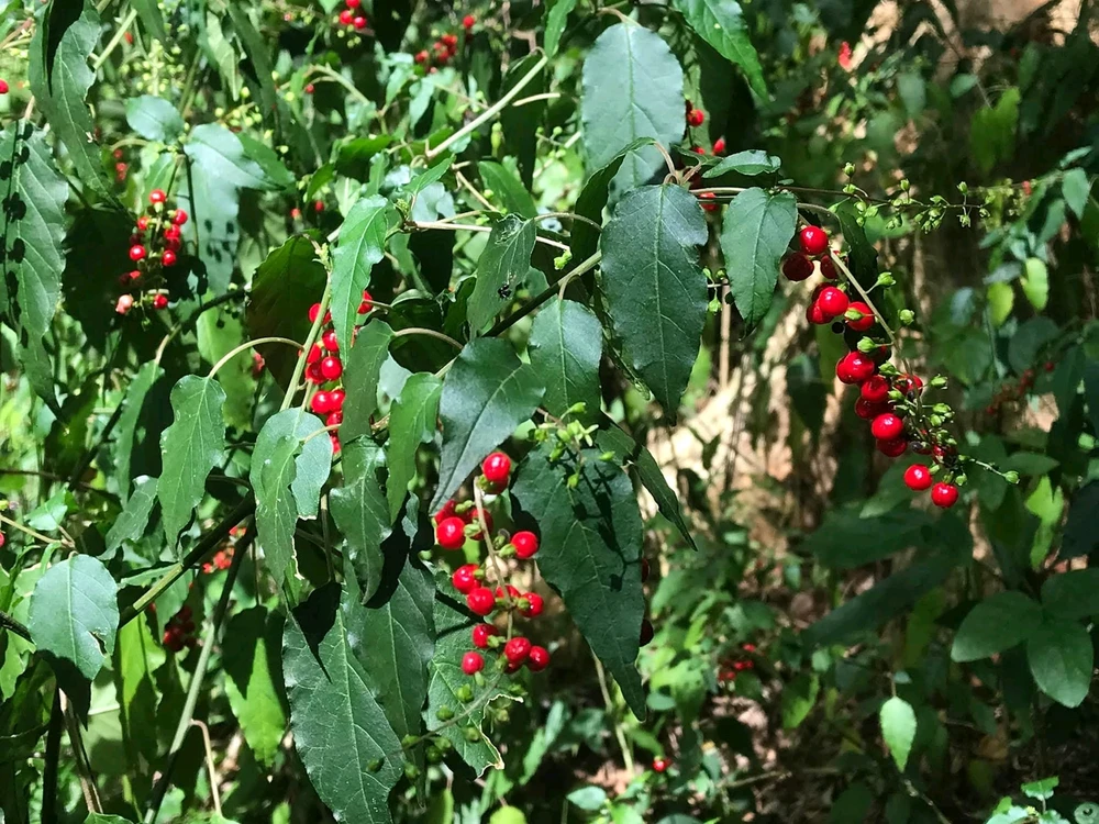 GIF uploaded by S