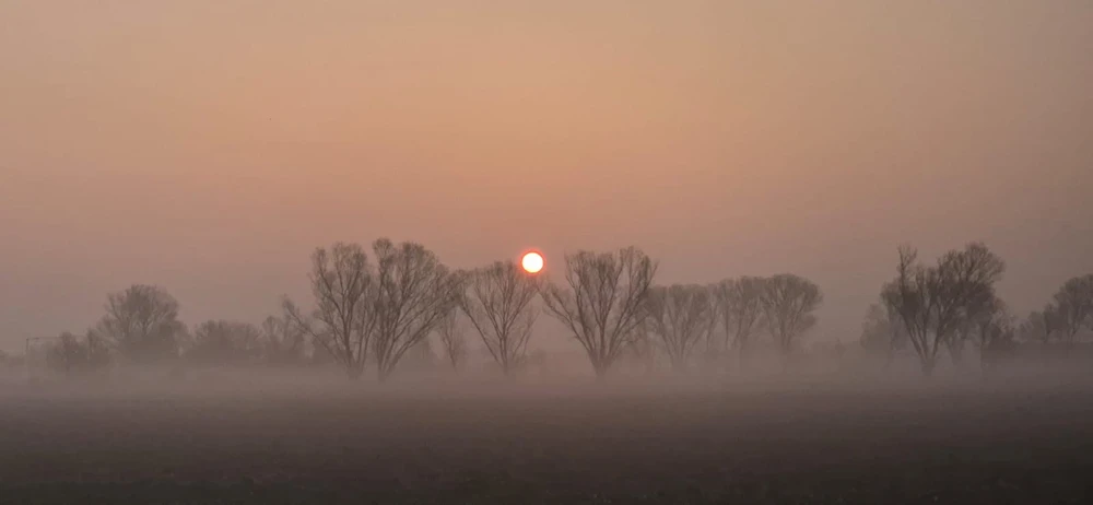 GIF uploaded by Elia