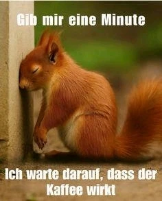 GIF hochgeladen von Sven