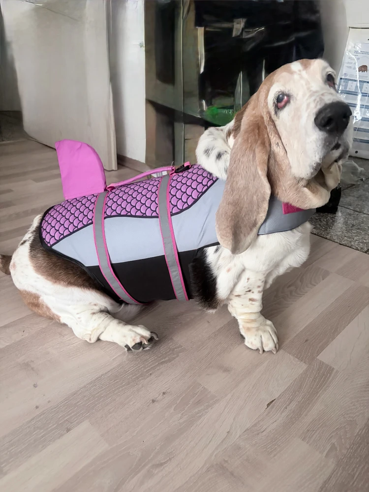 GIF hochgeladen von Max