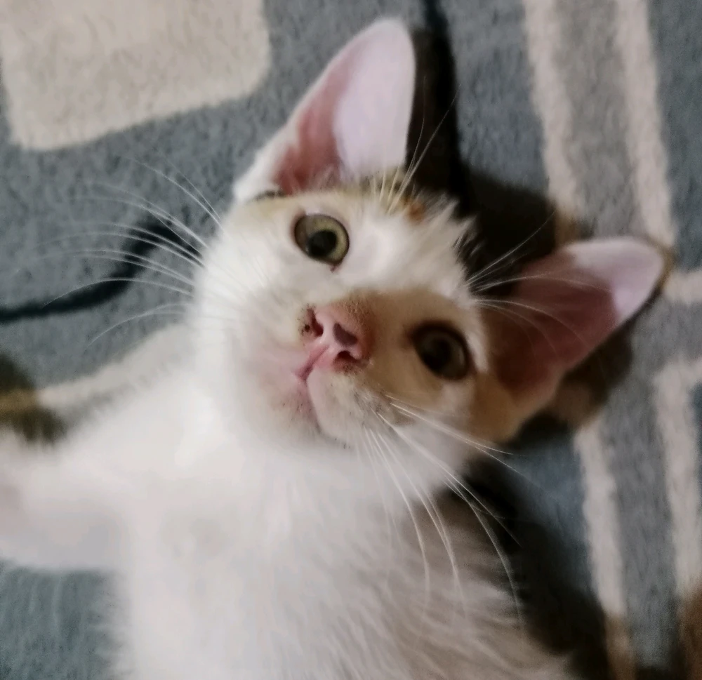 GIF uploaded by Nana