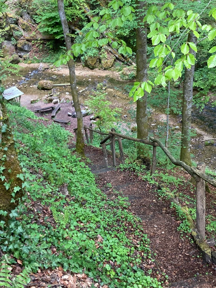 GIF uploaded by ℳ𝒾𝒹𝓃𝒾𝑔𝒽𝓉