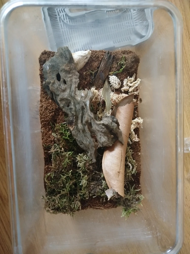 Image uploaded by jelonka