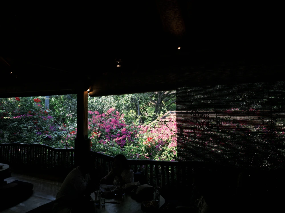 Image uploaded by Dame
