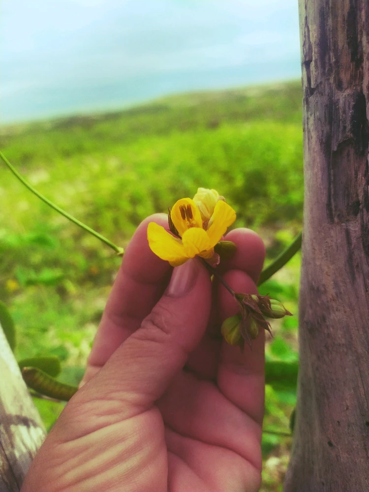 GIF uploaded by Ádila