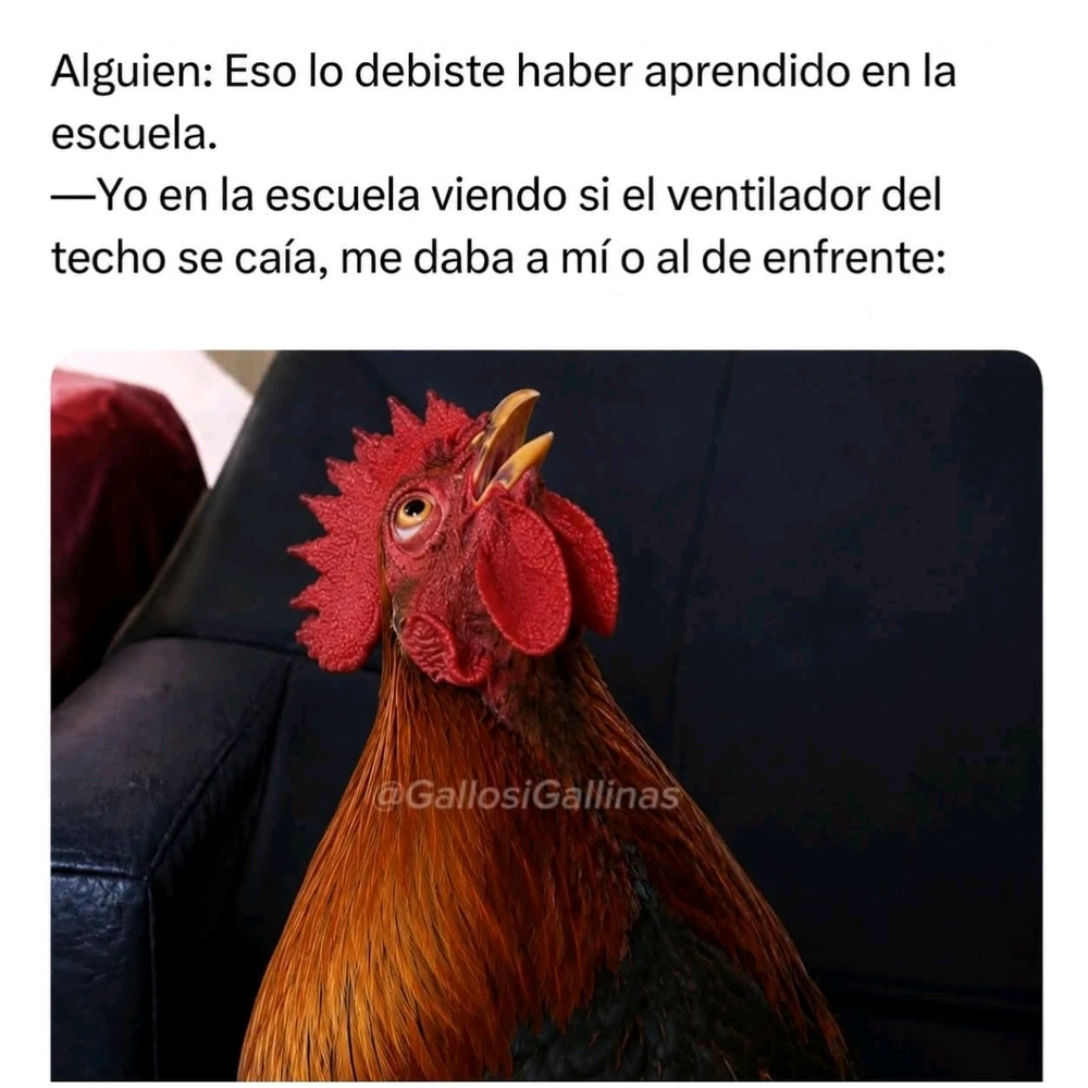 GIF subido por Abejita Brillante