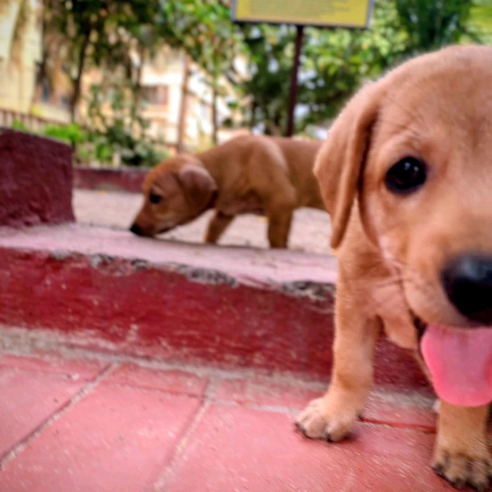 GIF uploaded by Raj
