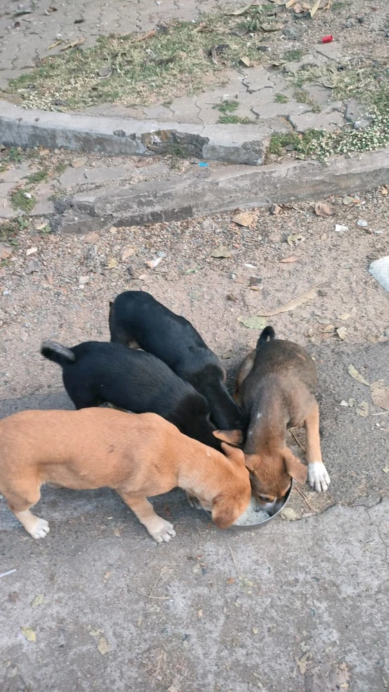 GIF uploaded by Suman