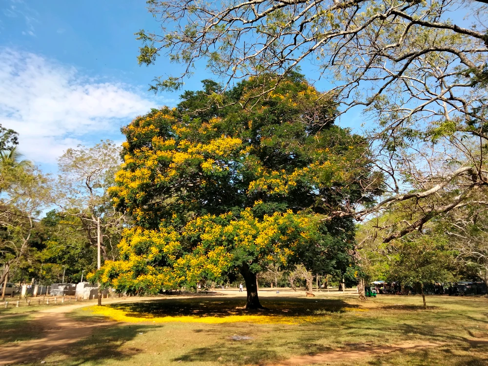 GIF uploaded by Akash