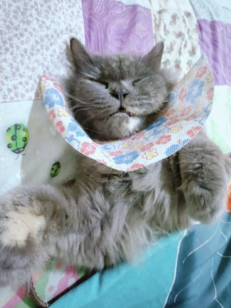 GIF uploaded by Alfian Fasa