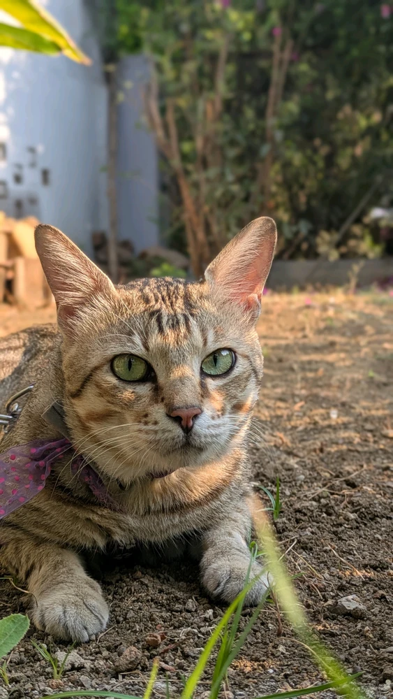 GIF uploaded by Partho