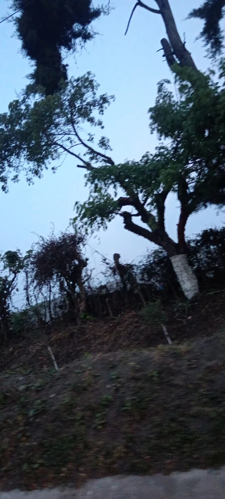 GIF subido por Oscar