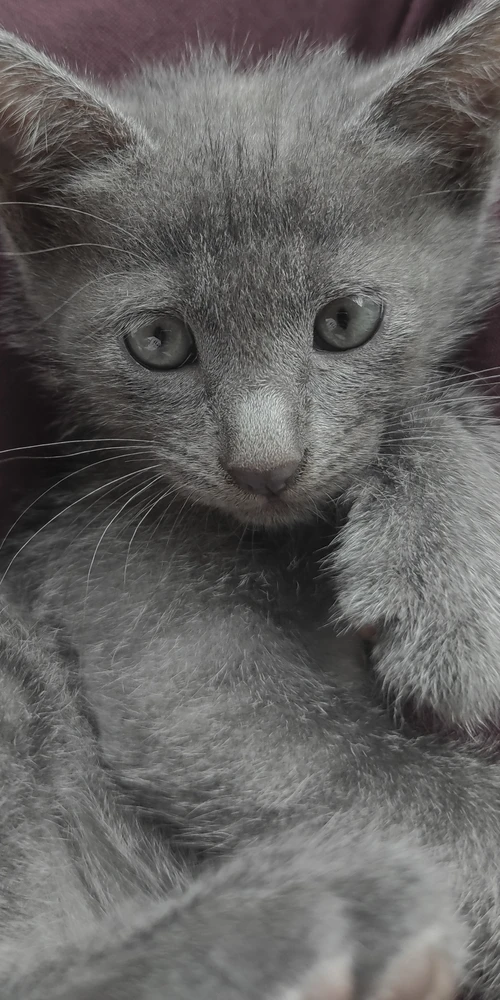 GIF uploaded by hana