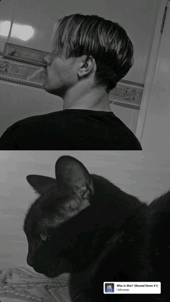 GIF enviado por Thiago