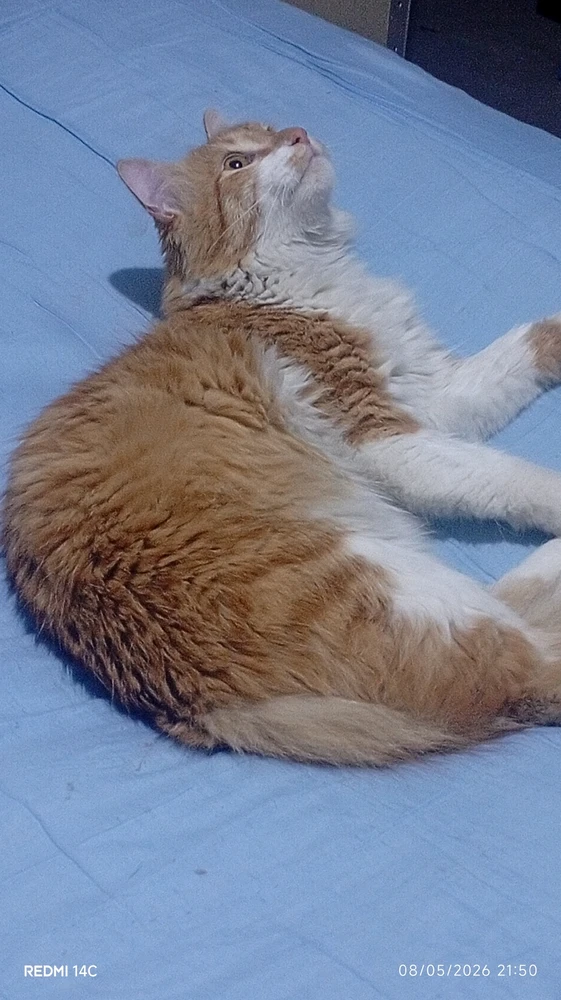 GIF subido por May
