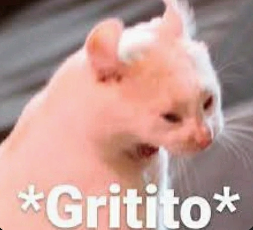 Imagen subida por Al