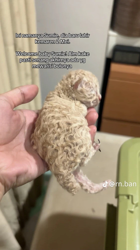 GIF uploaded by Khanin