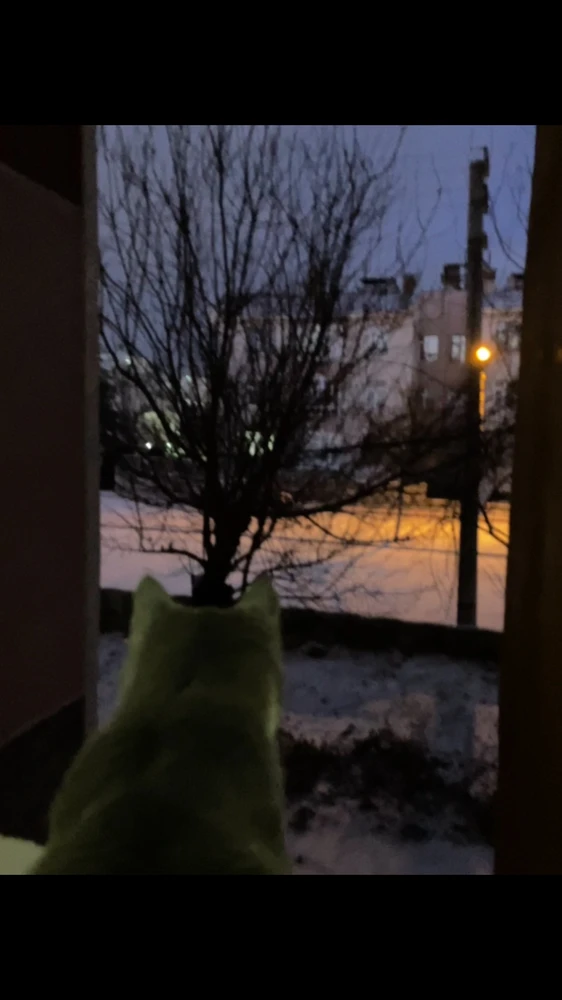 GIF uploaded by Cagla