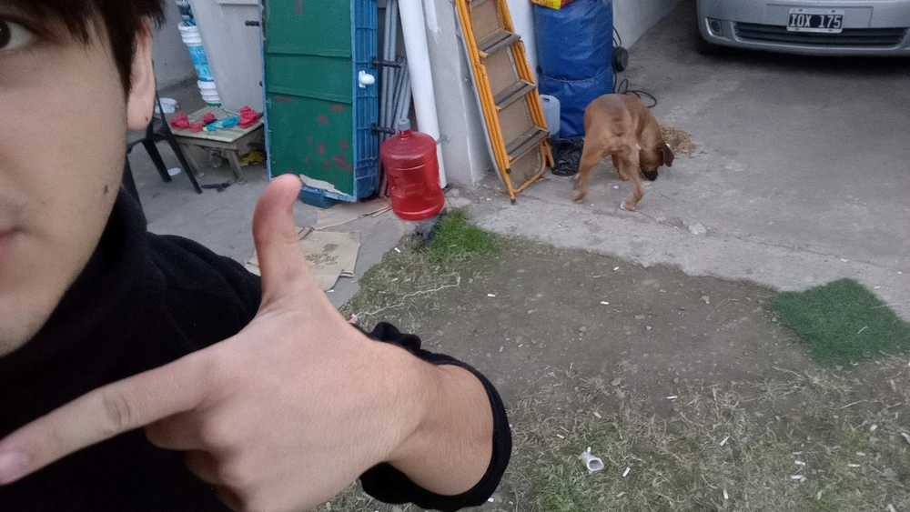 GIF subido por Luciano